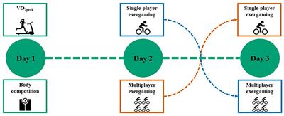 Physiological and Perceptual Responses to Single-player vs. Multiplayer Exergaming